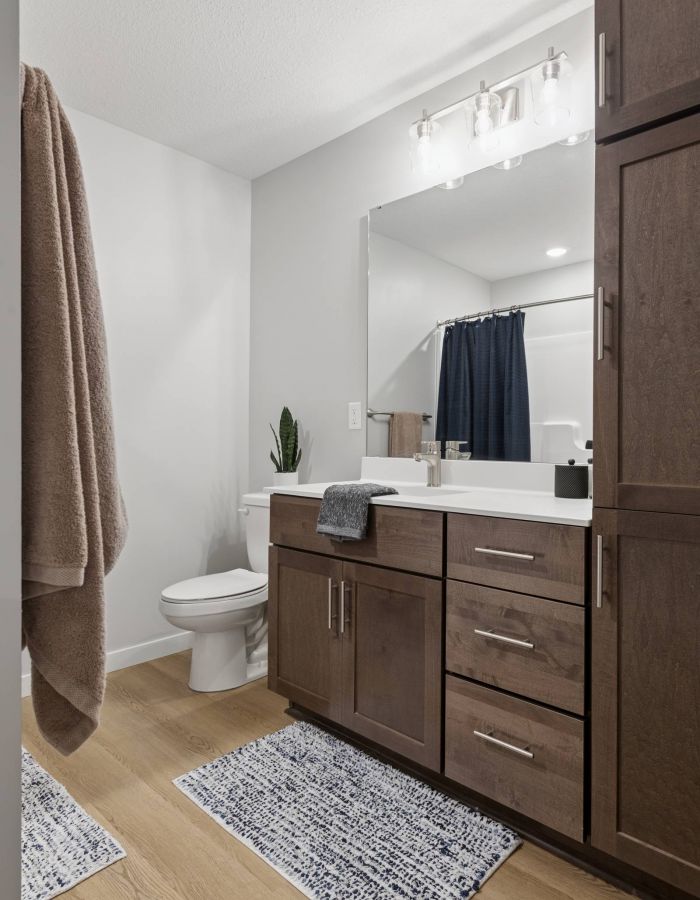 Modern bathroom with wood cabinets, a large mirror, toilet, and blue accents on rugs and shower curtain.