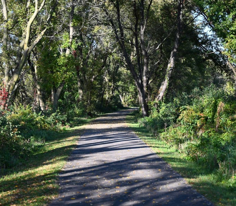 A paved trail runs through a sunlit, green forest with trees casting shadows on the path.