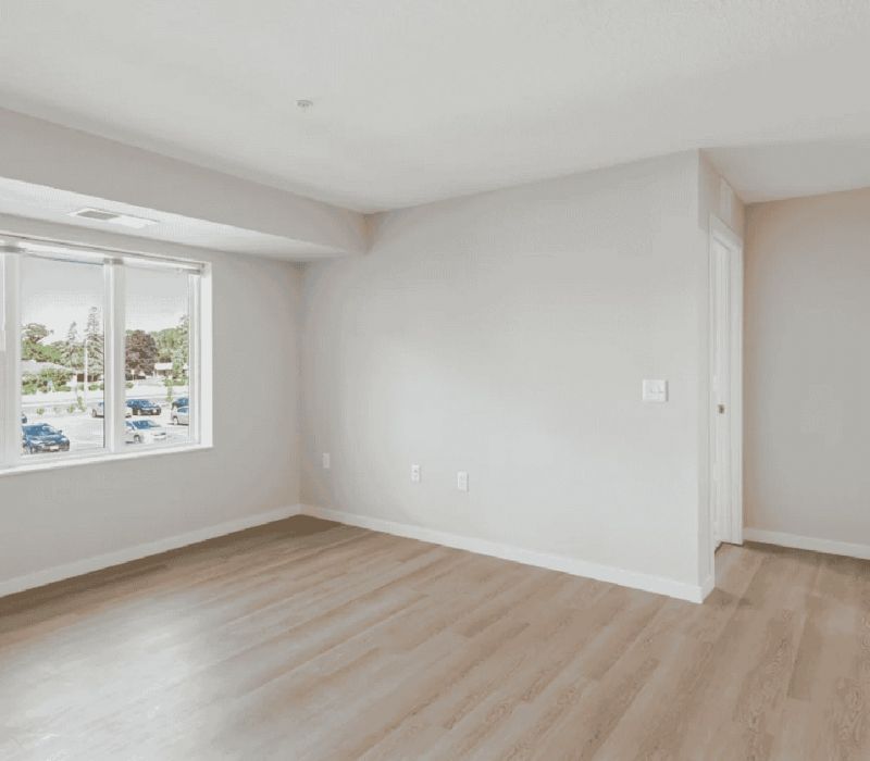 Empty room with light wood flooring, white walls, a large window, and a doorway to the right.